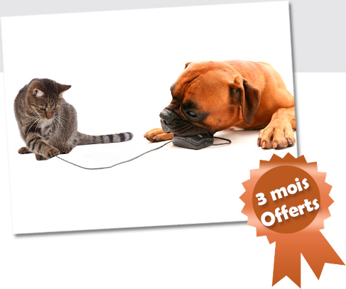 3 mois offerts